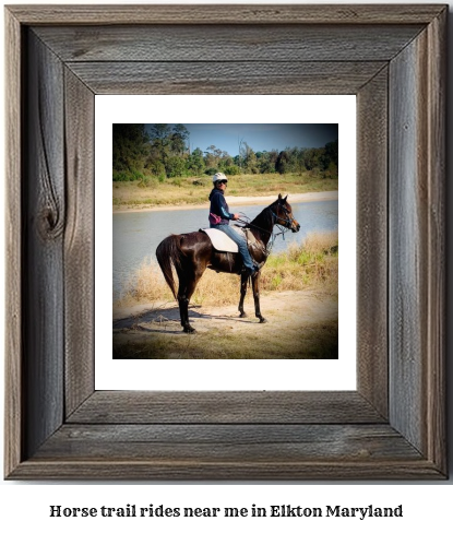 horse trail rides near me in Elkton, Maryland